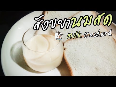 วิธีทำสังขยานมสด ซอสนม ราดขนมปัง | Milk custard