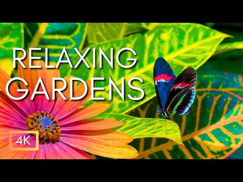 Breathe Deep & Relax 🌿 | Lush Botanical Gardens with Peaceful Music for Relaxing, 4K with Music thumbnail