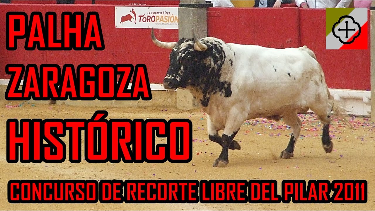 🔴🐂 CONCURSO HISTÓRICO DE RECORTE LIBRE DEL PILAR 2011