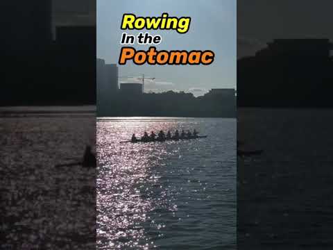 Video: Kajakisõit Washingtonis, D.C.: Potomaci jõgi & kaugemale