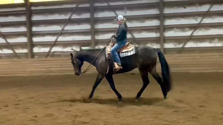 My Only Benz 2005 AQHA gelding