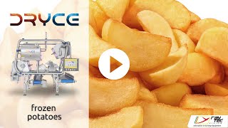 Dryce sorting machine on different sorts of frozen potatoes | RAYTEC VISION SpA
