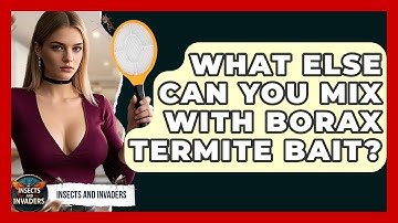 What Else Can You Mix With Borax Termite Bait? - Insects and Invaders