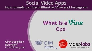 What Is Vine?