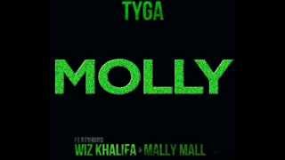 Tyga ft Wiz Khalifa - MOLLY (HIGH QUALITY)
