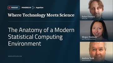 The Anatomy of a Modern Statistical Computing Environment