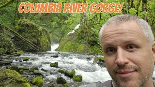 The lush green and pristine water of Columbia River Gorge! #nature #hiking #video