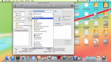 create image from Snow Leopard 10.6.3 DVD