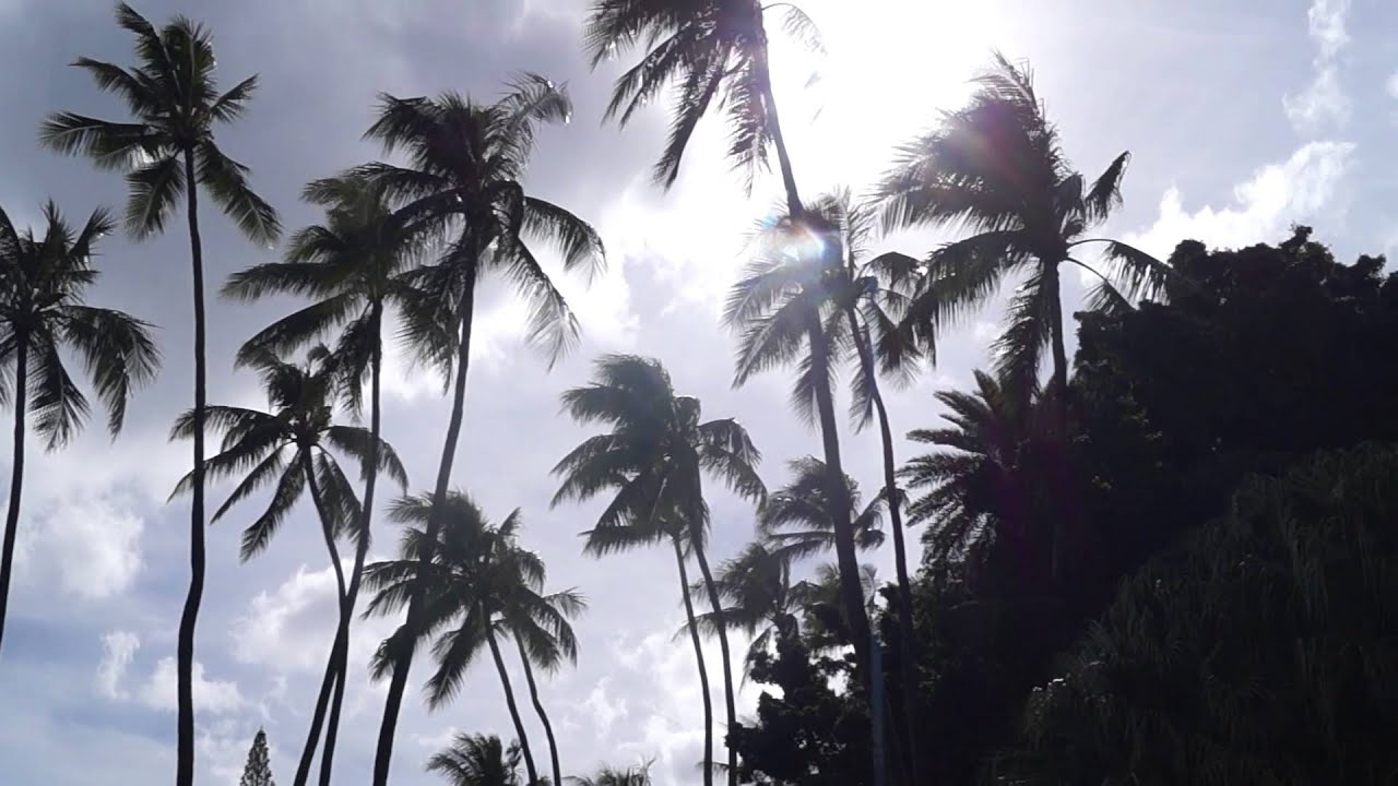 Trip to Hawaii YouTube