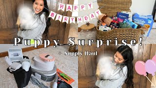 PUPPY SURPRISE + Supply Haul! 🐾 | getting a German Shepherd puppy! | Tjmaxx, Homegoods, Ross Haul!
