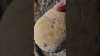Big White Feldspar Chunk Found Rock Hunting on Lake Superior - Unusual for the UP!