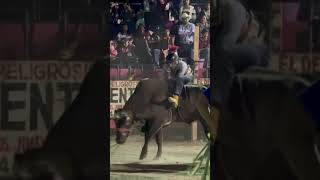 EX DESTRUCTOR “ELÁSTICO” Ahora Donald Trump con R. EL VIENTO NEGRO #toros #losdestructores #jaripeo