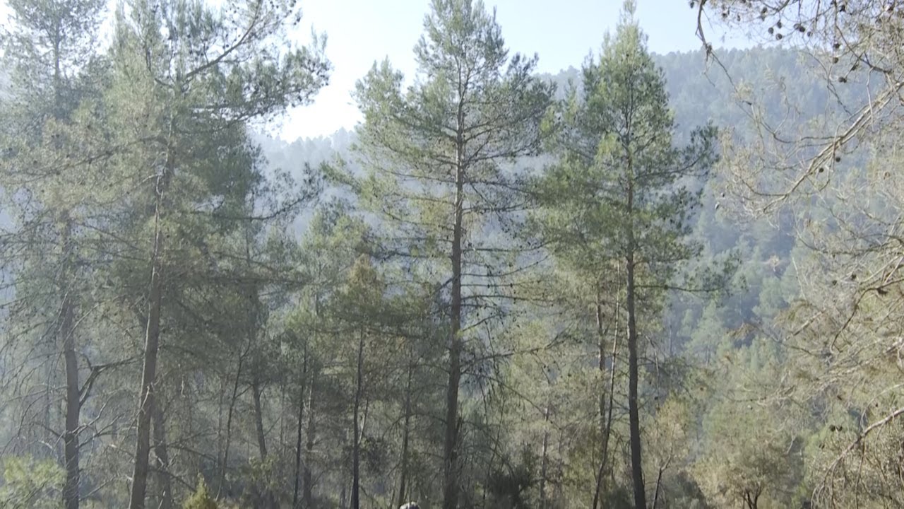 Extinguido el incendio de Baleira y controlado el de Villanueva de Viver