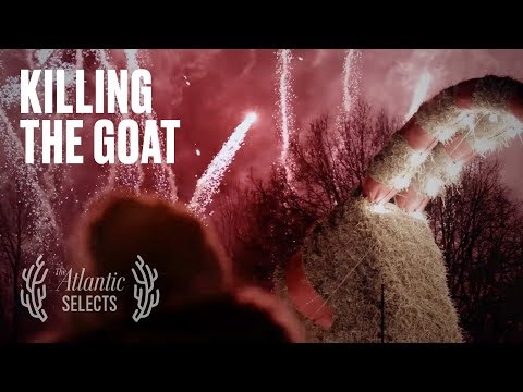 Video: Apakah kambing gavle terbakar tahun 2020?