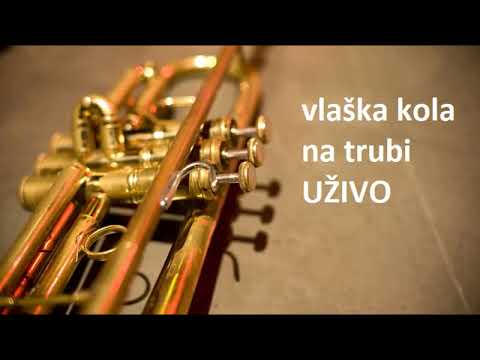 VLAŠKA KOLA NA TRUBI UŽIVO