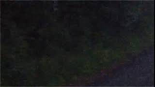 4152544946494349414c