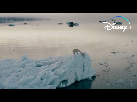Streaming This Earth Day | Disney+