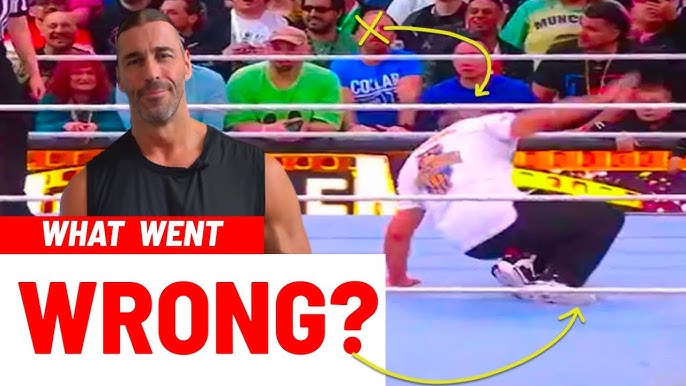 What Went Wrong? Goldberg Ends Bret Hart's Career 
