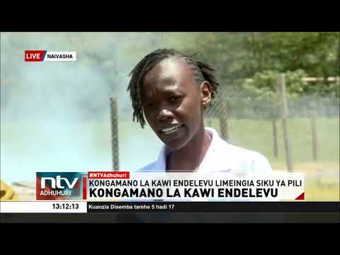 Kongamano La Kawi Endelevu Laingia Siku Ya Pili