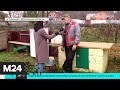 Жители населенных пунктов вблизи полигона "Тимохово" жалуются на запах - Москва 24