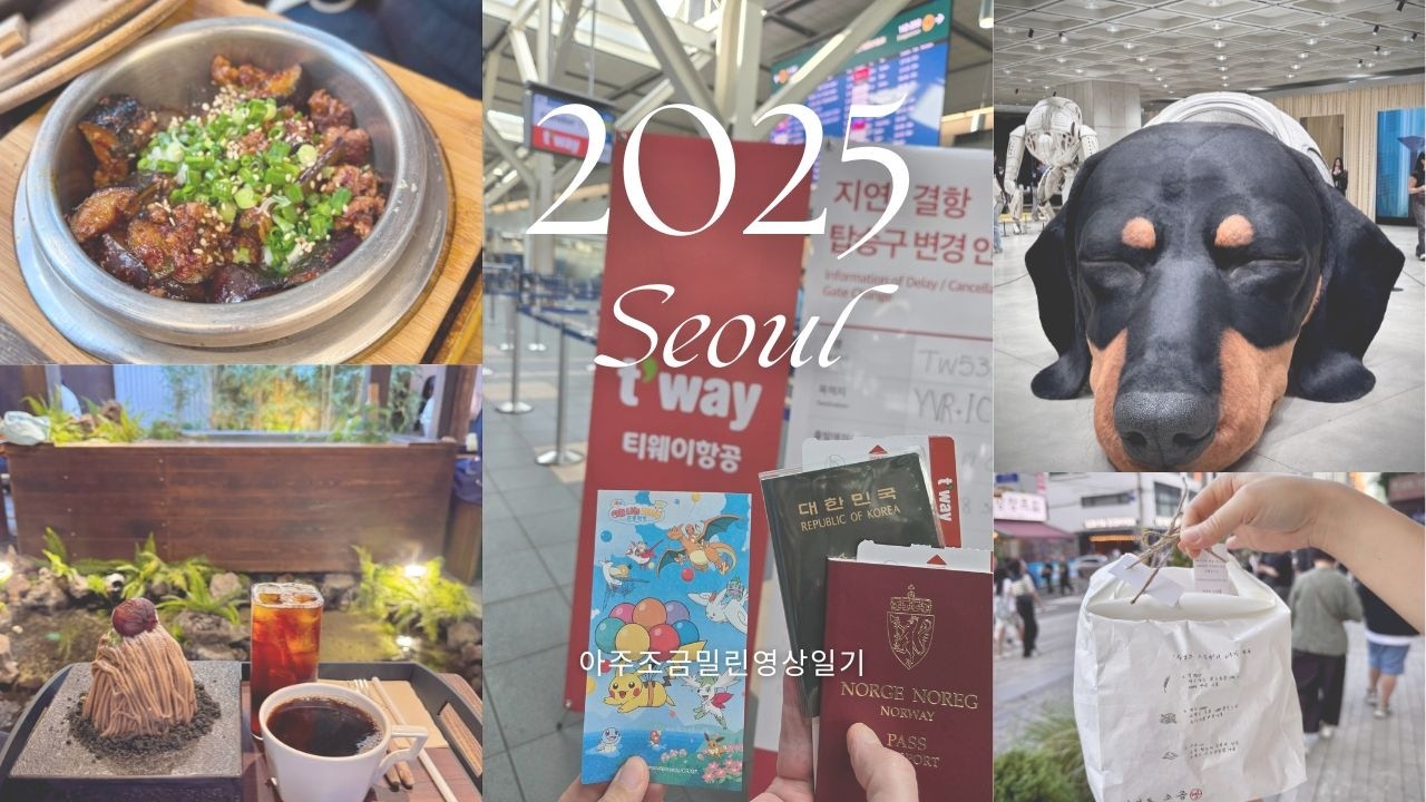 [🇰🇷엄마찾아 이만리] 3년만의 귀국인데 비도 오고 사기도 당하고...이게 맞아?