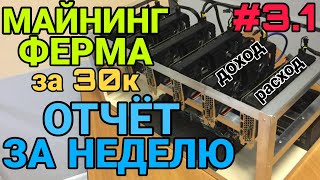 #3.1/ Майнинг ферма на одной видеокарте за 30к/ Отчёт за неделю/ Доходы и расходы