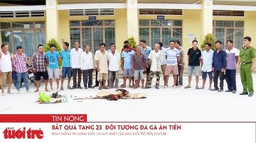 Bắt quả tang 23  đối tượng đá gà ăn tiền