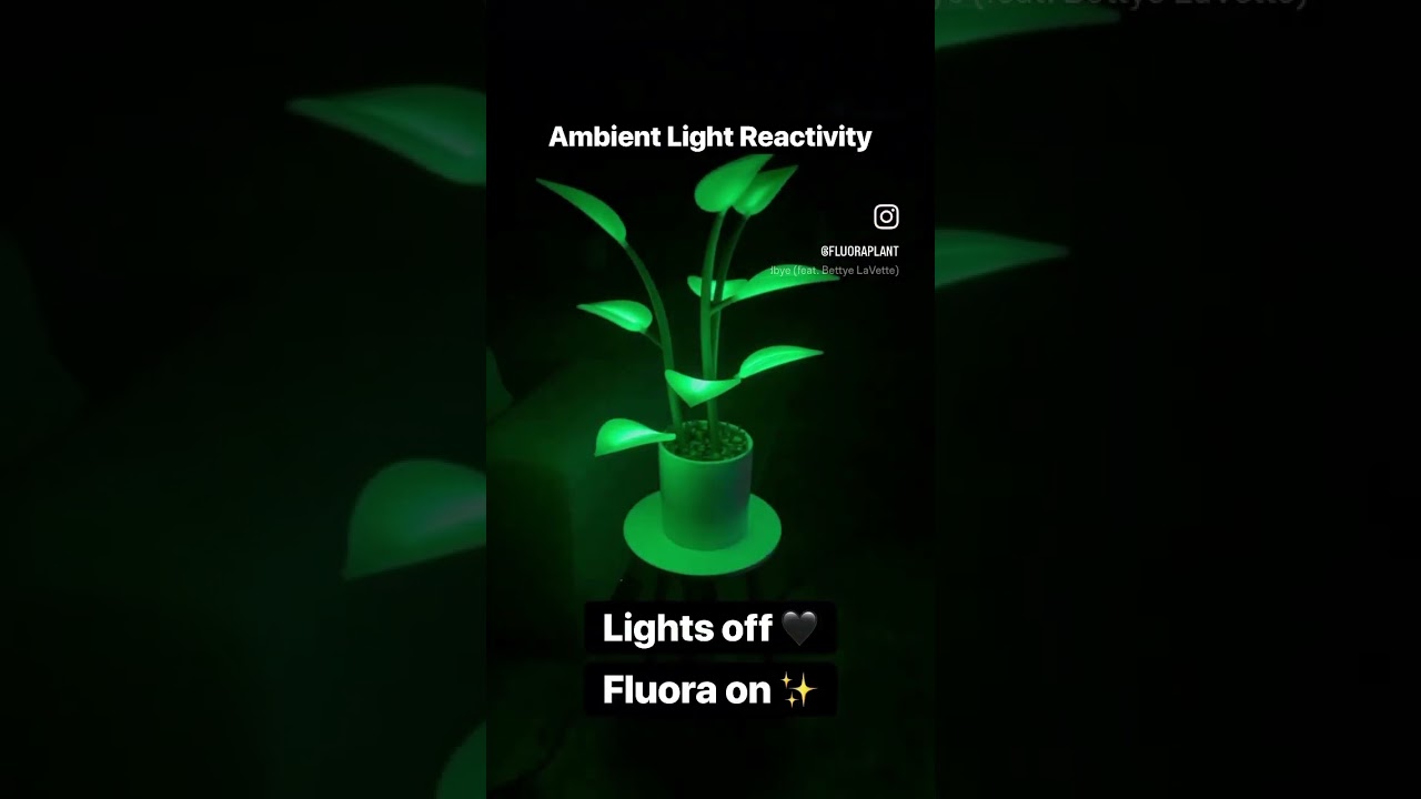 Fluora Mini Ambient Light Reactivity 
