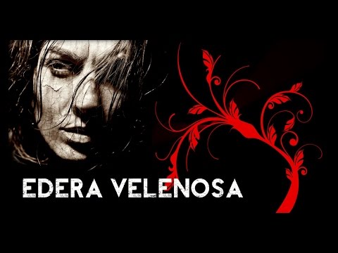 Video: Immunità All'edera Velenosa: è Possibile? Inoltre, Altre FAQ Sull'edera Velenosa