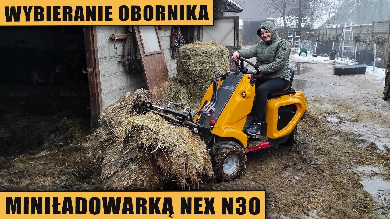 Wybieranie obornika miniładowarką NEX n30