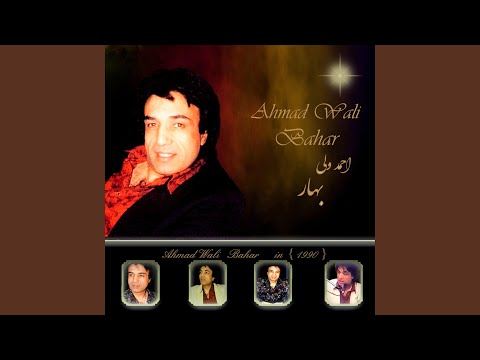 Mohammad Rahbaram محمد رهبرم