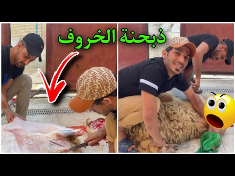 فيديو: هل طلق محمد ودانيال؟