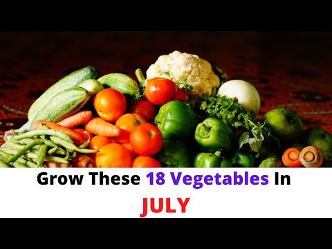 Video: What Varieties Of Cucumbers Can Be Sown In July