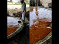 गुड़ बनाने की प्रक्रिया | Delicious Jaggery Making | Village Life #shorts #jaggery #kohlu #jansath
