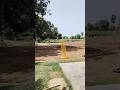Cricket challange #shorts #viral #trending