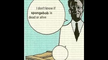 Thumbnail of Schrödinger's Sponge
