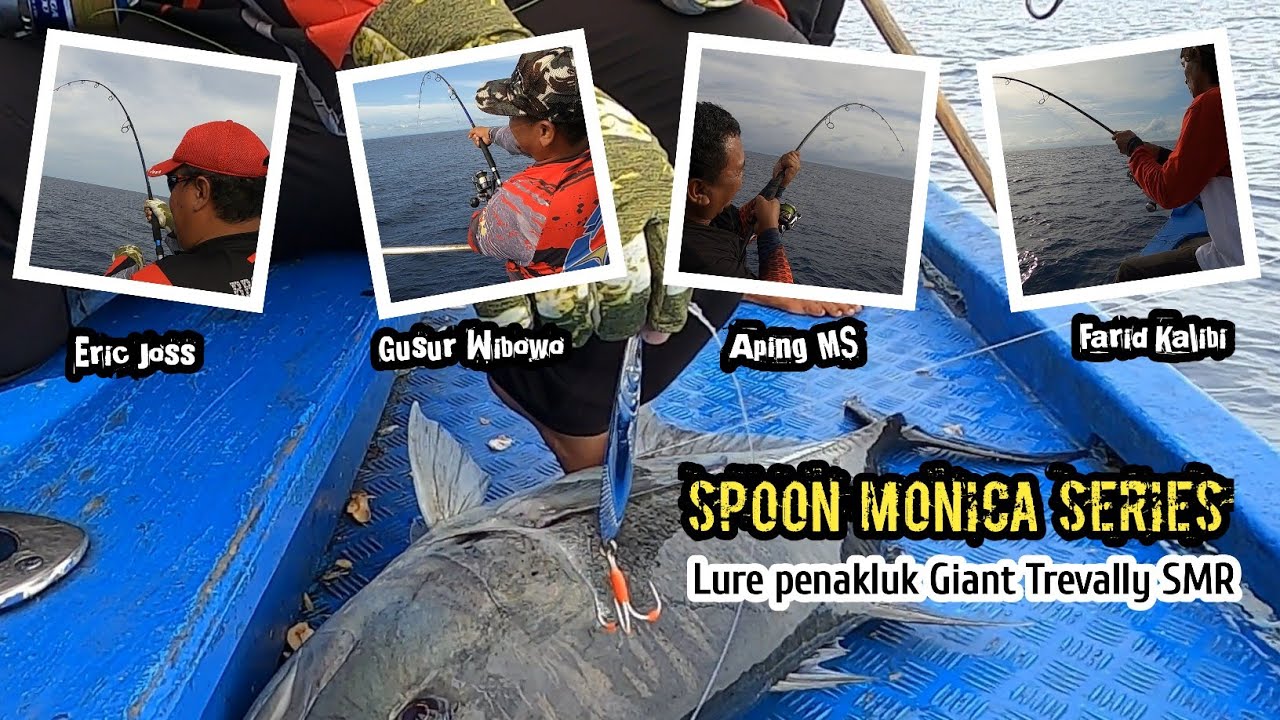 Umpan buat mancing Ikan GT di SMR Lampung?