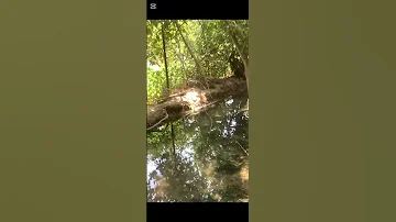 نشيد بدون موسيقى طبيعة إلى من قال لي يوما 