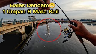 Full Panen..! Tidak Ada Kata Mocel Untuk Hari Ini Ikan Auto Menyerah 😁