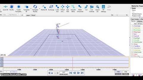 Cortex motion capture