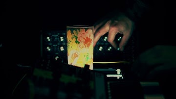 Smooth Hypnotic Analog Synth Sequence ( Moog Grandmother + DFAM + Behringer Chorus Pedal )