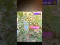 حقق حلمك جهد اليوم هو قوه الغد تواصل 01017592278 20 من مصر وخارجها حقق حلمك جهد اليوم هو قوه الغد تواصل 01017592278 20 من مصر وخارجها