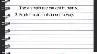 B4 Lesson 1 Sampling and Ecology OCR Gateway