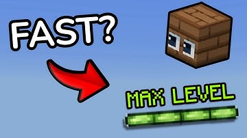 The FASTEST Way to Reach MAX LEVEL in Hide & Seek