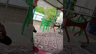 Nenem Terasta Oturmuş Yorgun