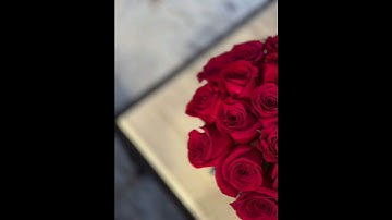 #قران_كريم #اللهم_ارحمنا #القارء #احمد_العجمي #آية_الكرسي #سورة_البقرة