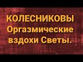 Семья Колесниковых/Новости  из  Дворца.