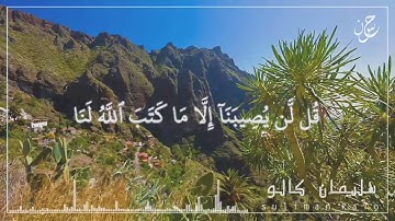 قل لن يصيبنا إلا ما كتب اللّه لنا (سورة التوبة) | سليمان كالو | القرآن الكريم