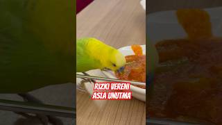 Rızkı Vereni Sakın Unutma