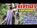 Reptiles as Food?? Part 14 - Masikan | SY Talent Entertainment